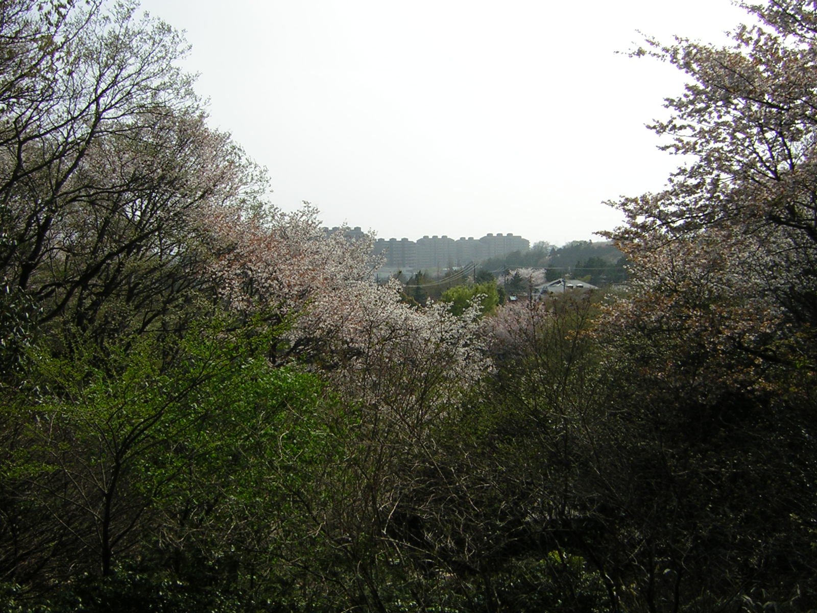 自宅方向を望む